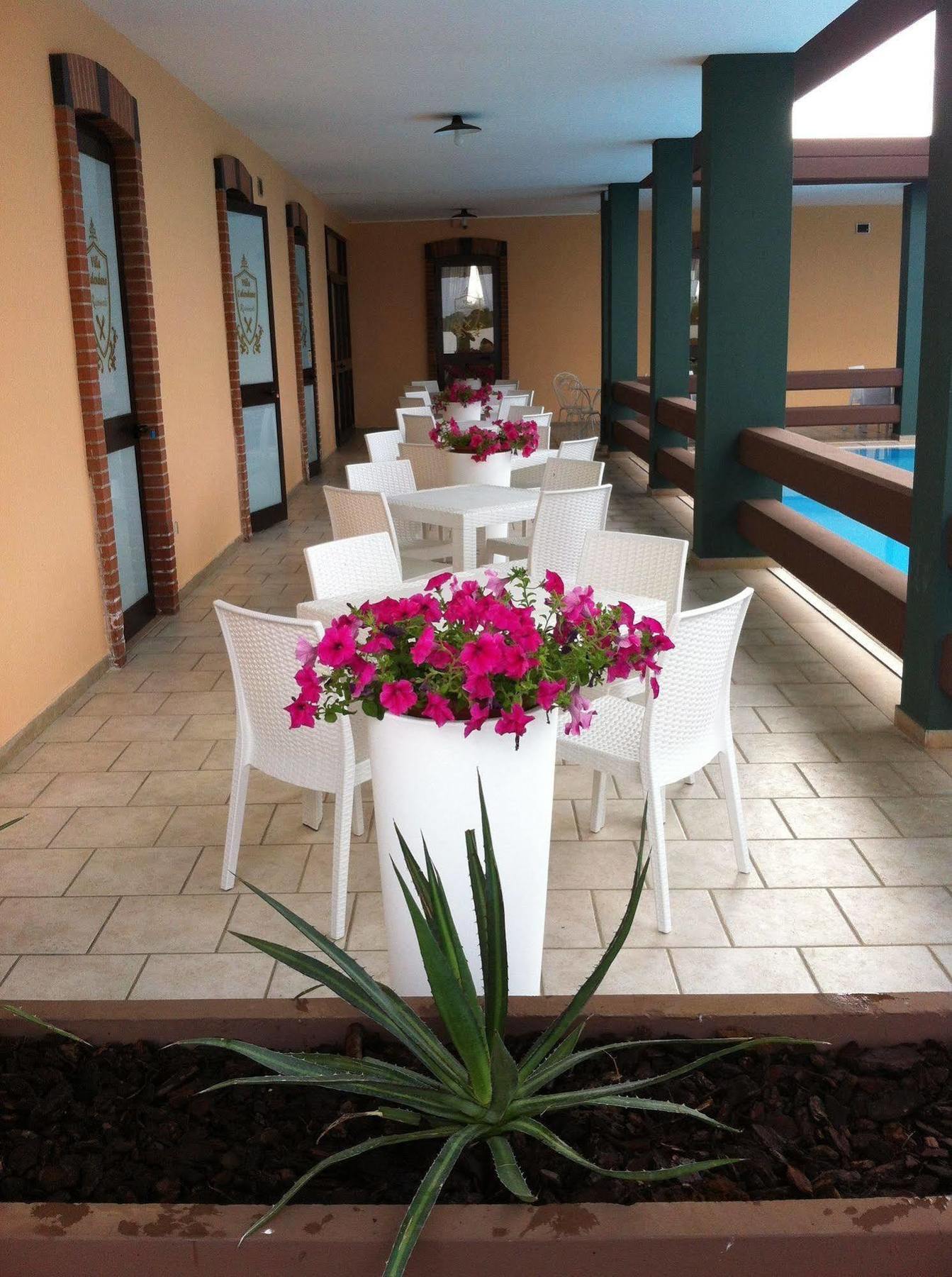 B&B Villa Calendano Corato Exterior photo